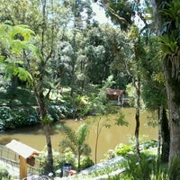 Calorão lota piscinas da Estância Ouro Fino, na Grande Curitiba. Veja fotos  - Bem Paraná