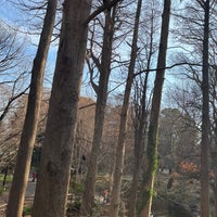 Photo taken at Rinshi no Mori Park by riceeball on 2/10/2024