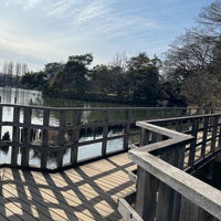 Photo taken at Senzoku Pond by riceeball on 2/24/2024