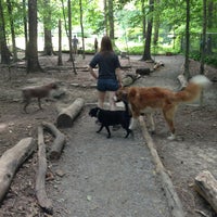 brook run dog park brook run dog park