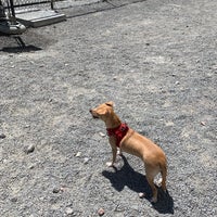 Photo taken at Washington Park Dog Run (JJ Byrne Dog Park) by Liz H. on 8/10/2019