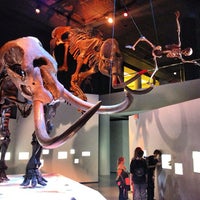 Photo taken at Dan L Duncan Hall of Paleontology by Garretto L. on 12/21/2012