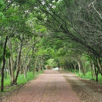 Photo taken at Ciclovia Parque Ecológico Tiête by McSan on 11/6/2022