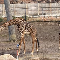Das Foto wurde bei Seneca Park Zoo von Thomas M. am 12/30/2022 aufgenommen