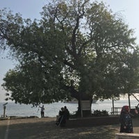 Photo taken at Sakız Ağacı Çay Bahçesi by Fatma S. on 10/19/2019