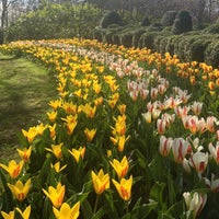 Photo taken at Keukenhof by team_MaT on 4/21/2013