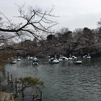 Photo taken at Inokashira Park by しぇぱーど on 3/22/2020