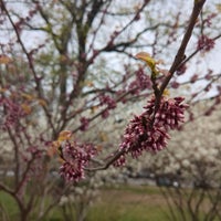 Photo taken at Fort Greene Park by Heewa B. on 4/11/2024