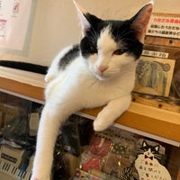 Photos At 猫カフェうたたね Cafe