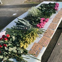 Photo taken at Golden Gardens Park by Sara C. on 2/11/2024