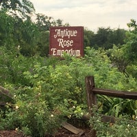 Photo taken at Antique Rose Emporium by * Wally *. on 8/15/2021