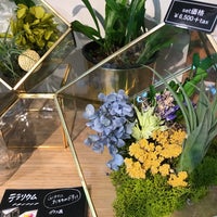 アクタス 心斎橋店 心斎橋 1 Tip アクタス 心斎橋店 心斎橋 1 Tip