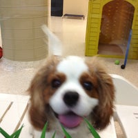 Pet Barn Pet Store In Chadstone