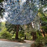 Photo taken at Washington Park Arboretum by J S. on 8/27/2023