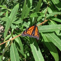 รูปภาพถ่ายที่ Environmental Nature Center โดย Rudy A. เมื่อ 6/22/2013