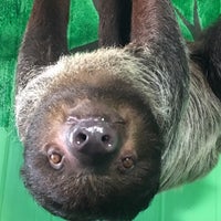 Foto diambil di North Georgia Zoo &amp;amp; Farm/ Wildlife Wonders- Zoo To You oleh Gimette D. pada 8/20/2017