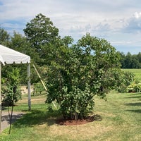 Photo taken at Flag Hill Winery &amp;amp; Distillery by Joshua T. on 8/9/2020