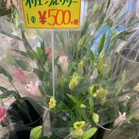 中央フラワー 花小金井北口店 小平 小平市 東京都