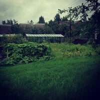 Сад химик. Сад химик. Садоводство химик ленинградская область. Сад химик. Сад химик.