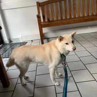 Photo taken at Astoria Veterinary Group by Victoria U. on 7/31/2019