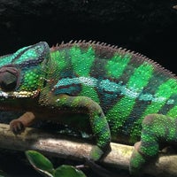 Haus Des Meeres Aqua Terra Zoo Aquarium In Vienna