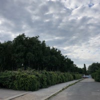 Photo taken at Birkenwäldchen im Mauerpark by marcus H. on 6/19/2018