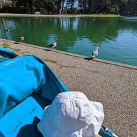Photo taken at Spreckels Lake by Glory B. on 9/22/2022