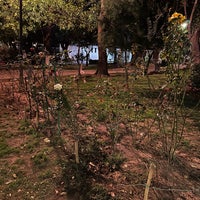 Photo taken at Jardín de las Rosas by Blues C. on 1/5/2024