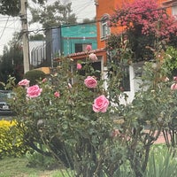 Photo taken at Jardín de las Rosas by Blues C. on 6/28/2022