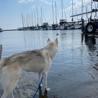 Photo taken at Port Sanilac Marina by Andy M. on 7/29/2021