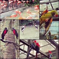 Photo taken at Parrot Paradise by Jeff P. on 3/29/2013