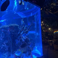 Photo taken at Rainforest Cafe by Hany Y. on 3/8/2023