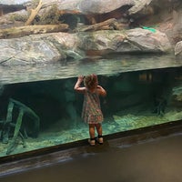 Photo taken at North Carolina Aquarium at Pine Knoll Shores by Natalie L. on 5/27/2022