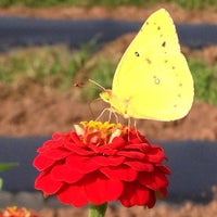 Photo taken at Griggstown Farm Market by Joe R. on 8/30/2013