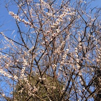 長野 市立 図書館