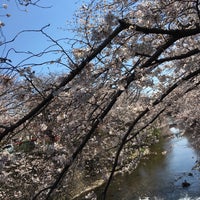 Photo taken at 恩田川沿い by ミンミン on 4/3/2019
