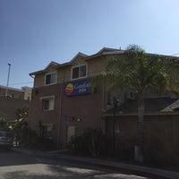 Comfort Inn Cockatoo Hotel In North Hawthorne