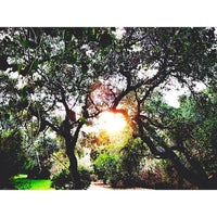Photo taken at Forest Home Ojai Valley by Ryan F. on 2/9/2013