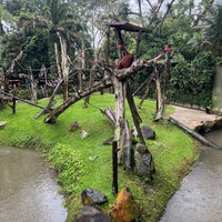 Photo taken at Singapore Zoo by Alex M. on 1/23/2023