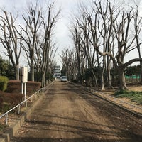 Photo taken at 玉川野毛町公園 by 川崎 健. on 2/10/2018