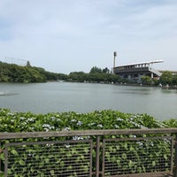 等々力緑地 釣池 中原区 0 Tips 等々力緑地 釣池 中原区 0 Tips