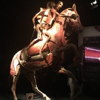 Photo taken at Body Worlds: The Original Exhibition by Eycey on 3/25/2016