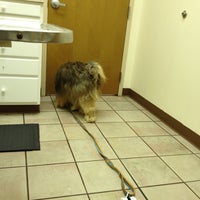 Photo taken at Allisonville Animal Hospital by Richard H. on 10/6/2012