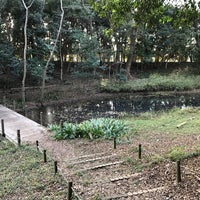 Photo taken at 大井ふ頭中央海浜公園 なぎさの森 by Makino S. on 12/24/2016