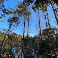 Photo taken at Togoshi Park by Makino S. on 1/7/2022