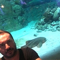 8/29/2016 tarihinde Murat B.ziyaretçi tarafından Aquatopia'de çekilen fotoğraf