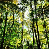 Photo taken at Green Mountain National Forest by Brittany T. on 9/23/2012