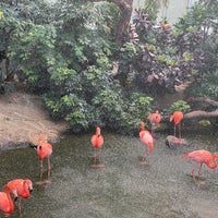 Photo taken at National Aviary by Michelle Y. on 6/5/2023