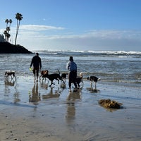 Photo taken at Del Mar Dog Beach by Simplicious C. on 2/3/2024