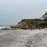 Photo taken at Del Mar Dog Beach by Simplicious C. on 4/29/2023